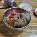 메밀꽃천서리막국수