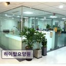 현대자동차 정비센타 | 고양시 일산동구 요양원 하이탑요양원 친절한 서비스가 돋보입니다