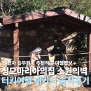 더 버진 메리즈 하우스 터키 성지순례 성모마리의 집 방문후기