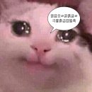 [평생학습관] 우울 및 스트레스 관리 | 박탈성 구순염 병원 진단 후기｜4년 치료의 시작과 생활습관 변화