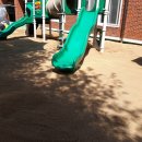 강남초등학교 병설유치원 이미지