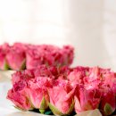 러브러브 이미지