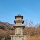 양양 진전사지 삼층석탑 Daum카페