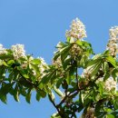 운용약국 이미지