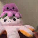 낭만상회 | 호객행위 없는 여수 낭만포차거리 맛집 돌문어상회 : 돌문어라면 후기