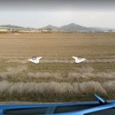 미래가치공인중개사사무소 이미지