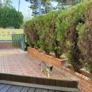 논골담길1 | 강원도 묵호 논골담길 숙소 게스트하우스 103LAB 후기