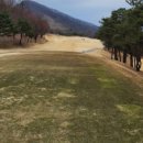 엘리시안 강촌 골프연습장 이미지