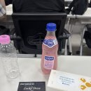 미래인재교육재단 | 서울미래인재재단 명사 아카데미 1회차 특강 후기_<안될과학> 항성