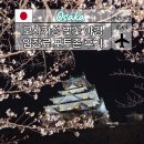 일본 오사카성 벚꽃 야경 입장료 포토존 후기