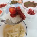 반찬애진심 이미지