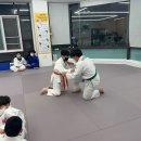 봄 유도관 네이버블로그