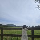 에스케이텔레콤 원주사옥 | 6월, 아기&아이와 가기 좋은 제주도 서쪽 여행 (숙소, 맛집, 렌터카, 공항 주차장 할인 등)