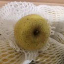 정인농원 이미지