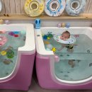 인천송도점홈플러스 | 인천 송도 홈플러스 아기수영장 베이비풀 베이비엔젤스 후기 및 정보