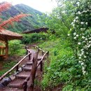 외갓집펜션 이미지