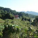 풀천지농장 이미지