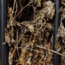 잠원동002 이미지