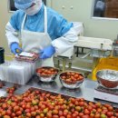 당산보부상 이미지