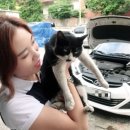 만능카 이미지