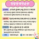 ITT 통번역사 3급 이미지