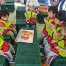 월포농장 이미지