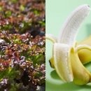 피티박스(PT BOX) 이미지