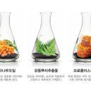짱대박PC 네이버블로그
