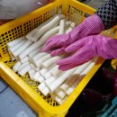 뽑아봐유 이미지