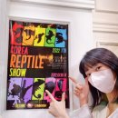 렙타일코리아 이미지