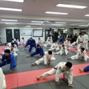 미스터샤크유도짐 이미지