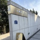 뜨리바다 | [제주도] 제주 서귀포 분위기 좋은 카페 못(MOAT) 후기
