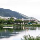 레더스무디
