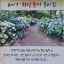 휴애리(HUEREE) 수국축제 이미지