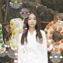 채원 텐아시아