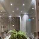 식물카페초록 | [부천 카페] 도심 속 초록 힐링, 식물 카페 '에이프' 솔직 후기 (ft. 주차)