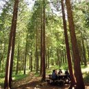 쪽빛언덕 이미지