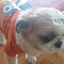세수대야 동까스 네이버블로그