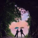사월의모비딕 | 거제 뚜벅이를 위한 여행방법(거제택시투어, 사월의모비딕)후기