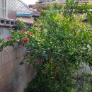 논공이용소 이미지