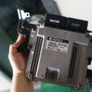 미주자동차나라 이미지