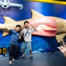 아쿠아리움 이미지