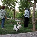 산책 이미지
