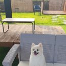 오늘 더 예쁘개 이미지