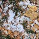 면목천로 어르신 쉼터 이미지