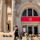 세계 최고의 미술관 여행 | 뉴욕 여행 코스 완벽 동선 자연사박물관 메트로폴리탄 미술관 센트럴파크 예약 꿀팁