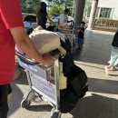 [강원 속초 리조트] 속초 금호 설악리조트, 스위트 디럭스 내돈내산 솔직 후기&amp; 근처 맛집 추천!
