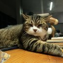 오씨주택 이미지