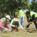 그린골프존 이미지