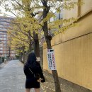 오이랜드 이미지